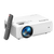 Projector