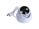 NK-601A3 1080P DOME CAMERA