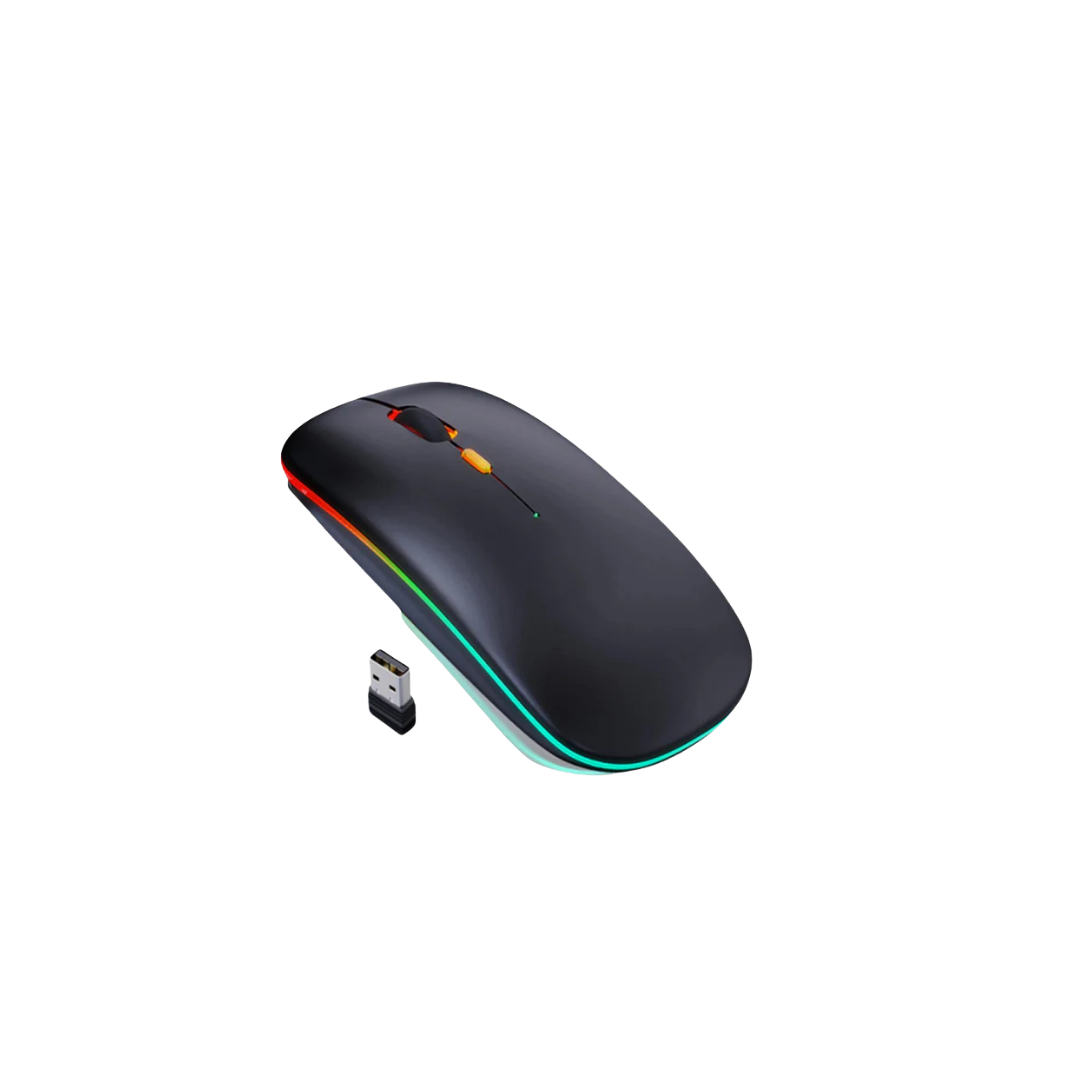 HP W10 WIRELESS MOUSE
