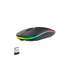HP W10 WIRELESS MOUSE